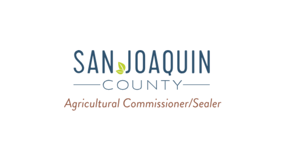 County Says Ripon Bug Complaints Involve Red Flour Beetles, Not Agricultural Source 